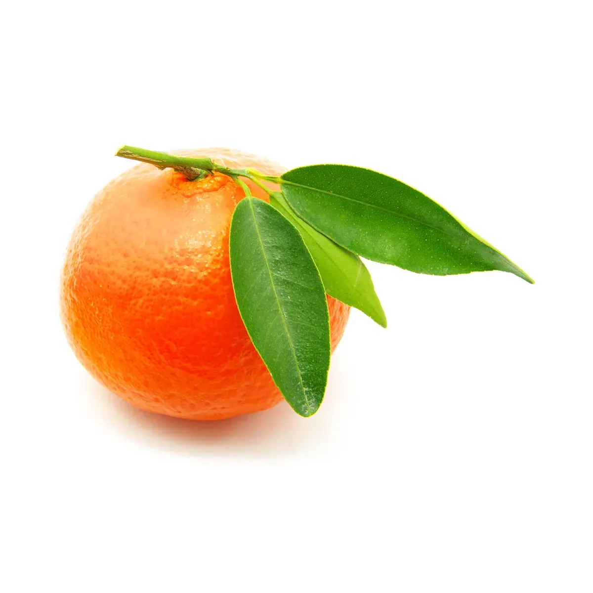 Plodovi: Mandarina