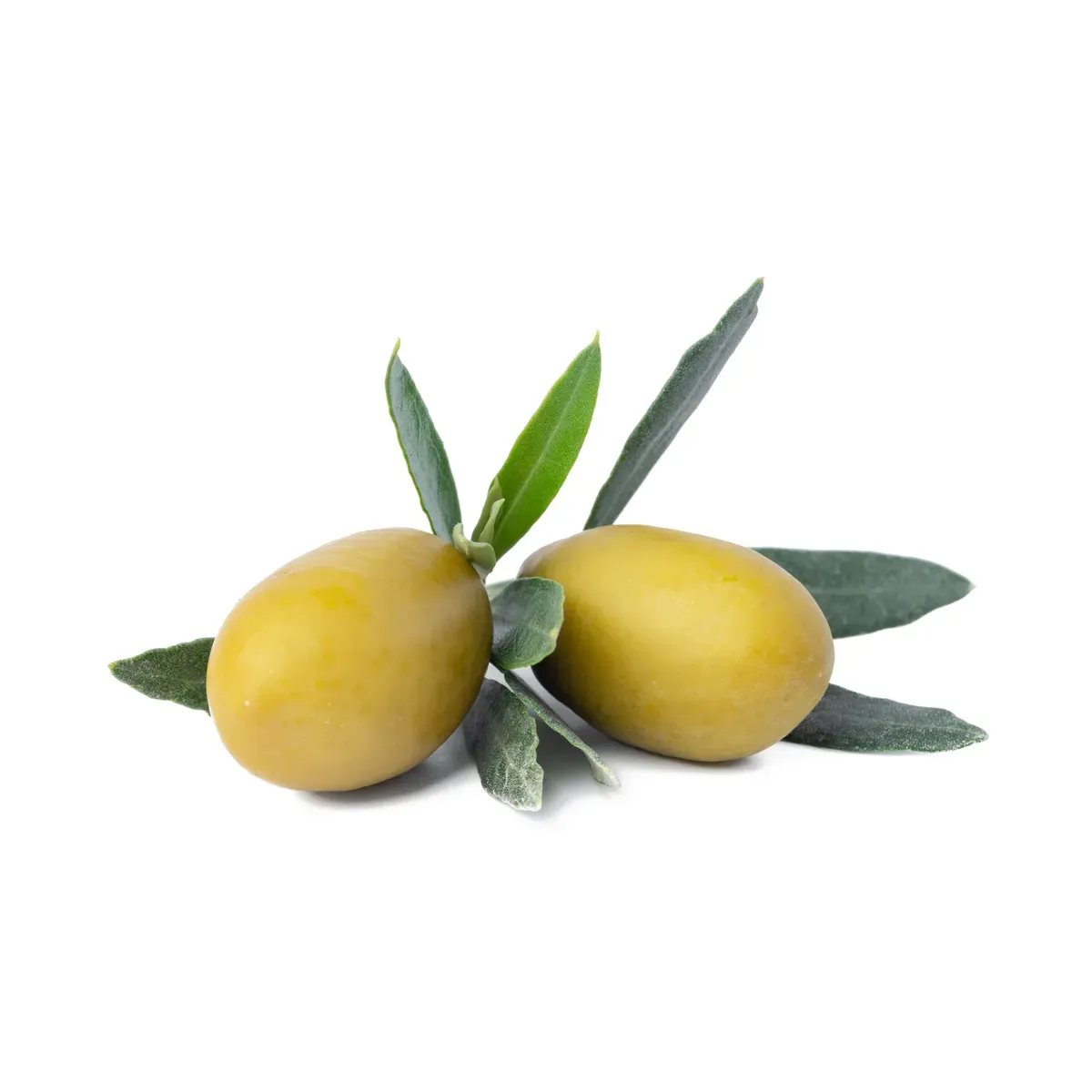 Plodovi: Maslina