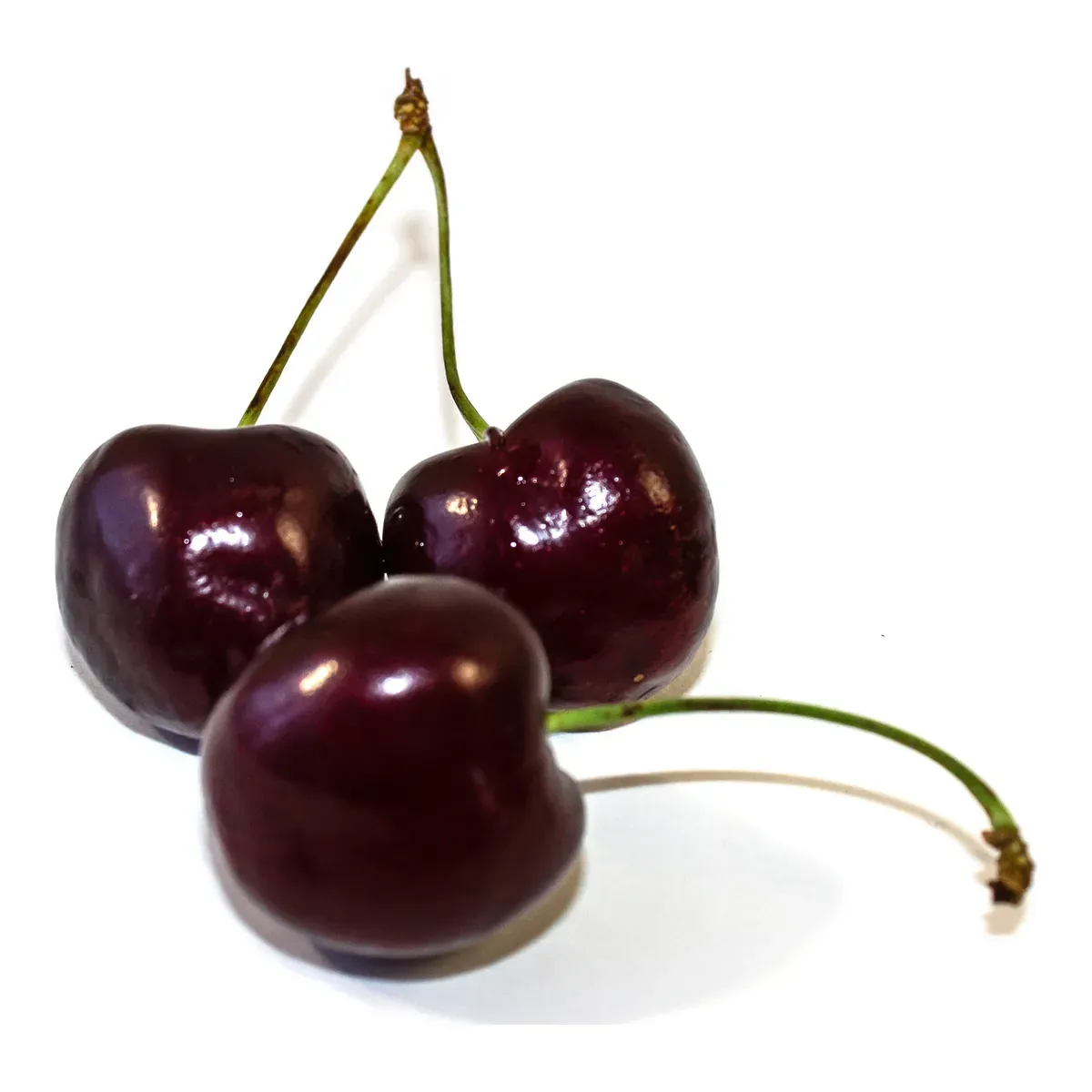 Plodovi: Trešnja Lapins