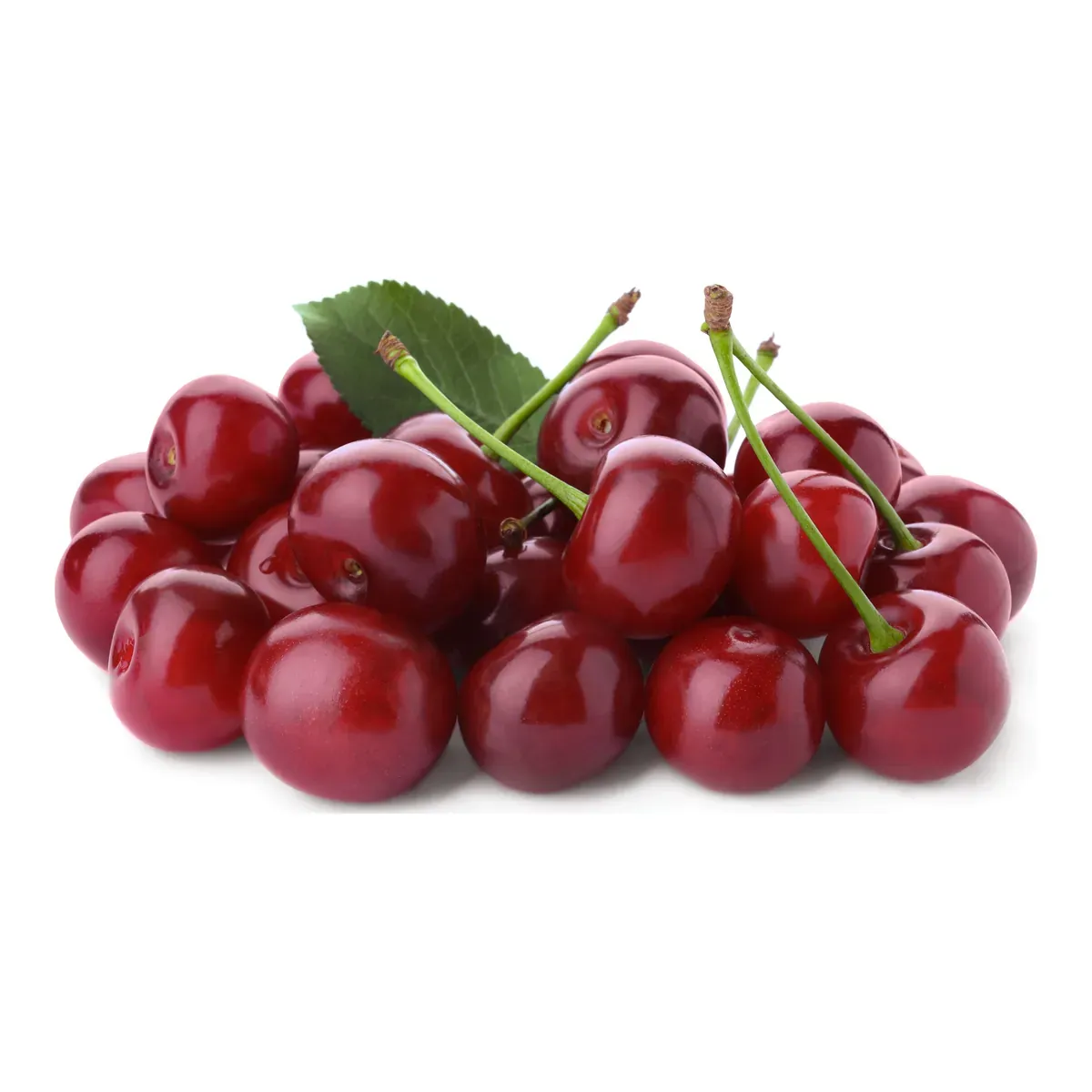 Plodovi: Višnja Šumadinka